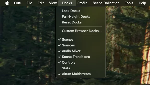 Docks menu on OBS