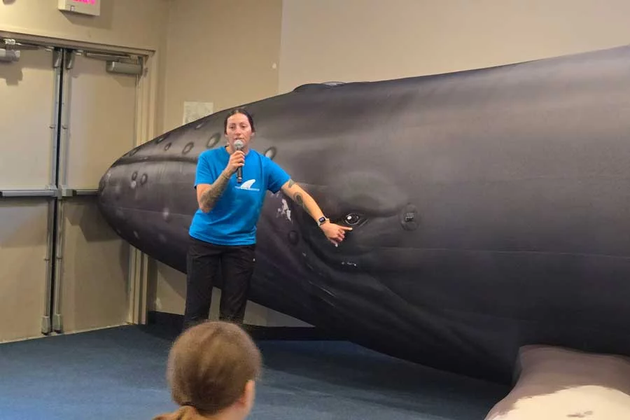 Learning about whales