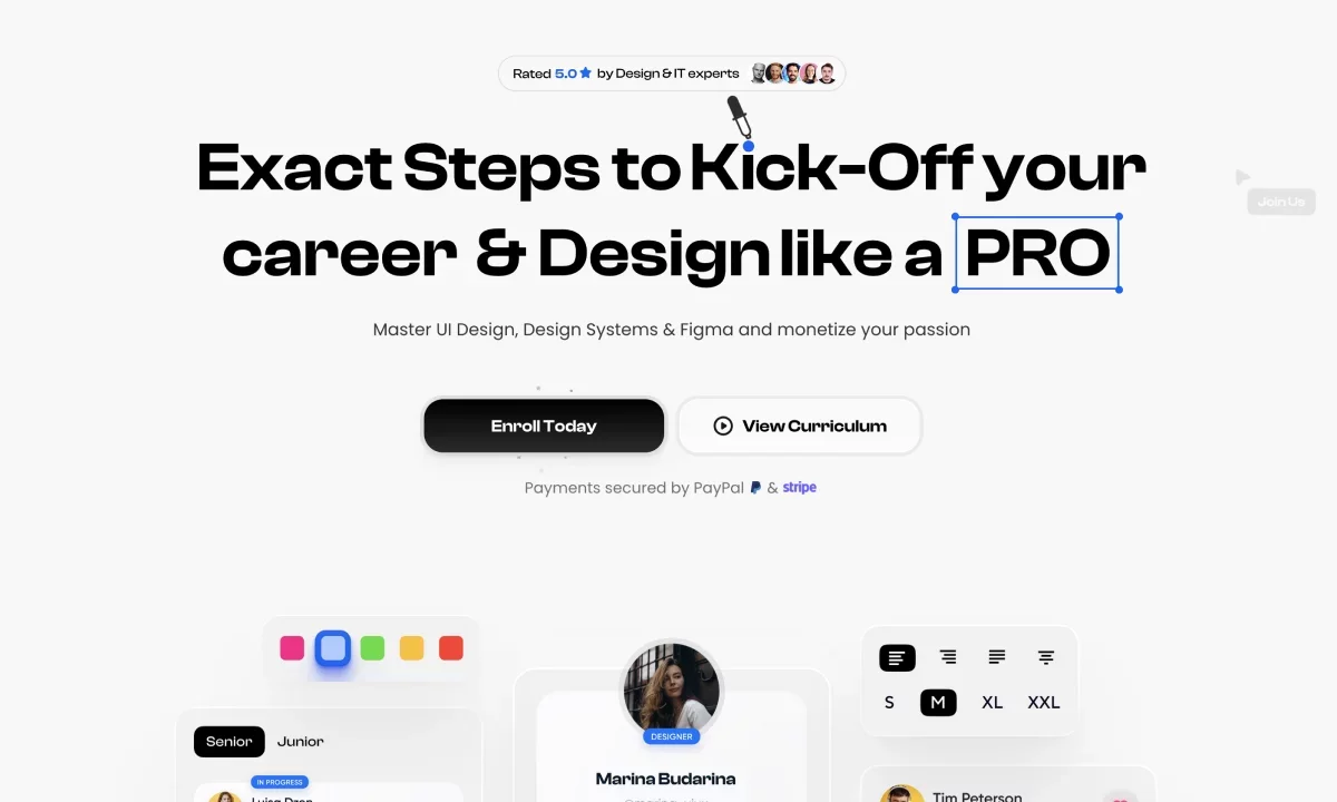 Course screenshot UI Design & Systems Course