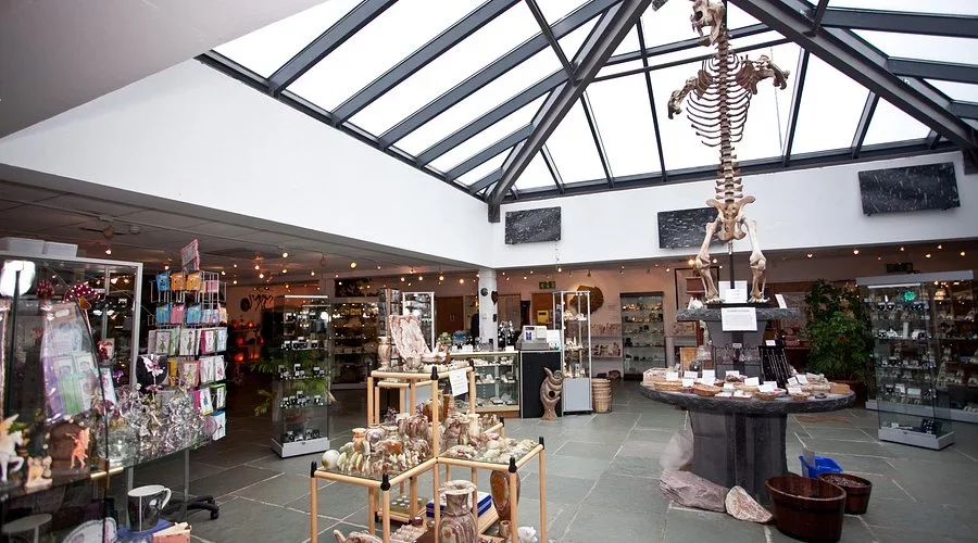 The Rock Shop: Fossils, Gems & Tearoom