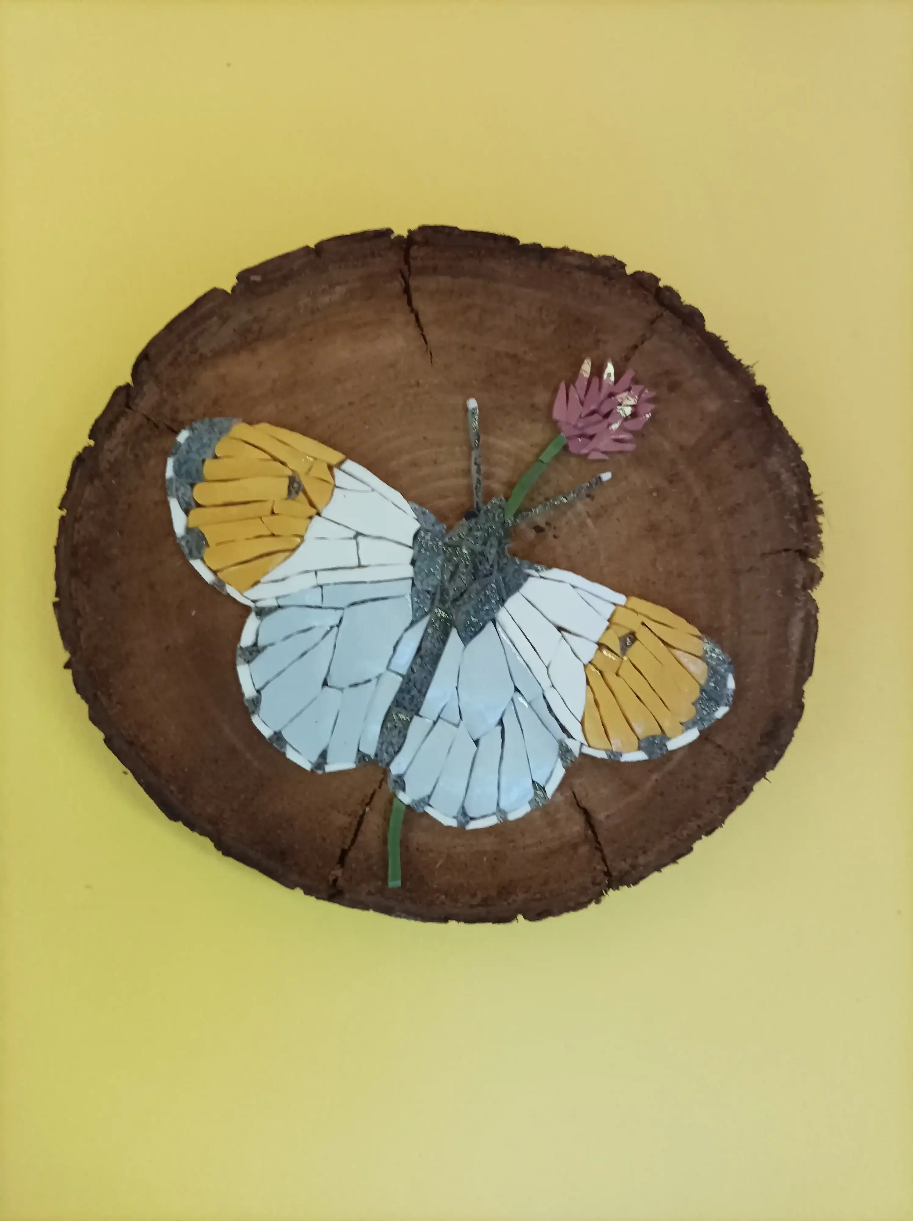 Mosaïque d'un papillon aurore sur bois
