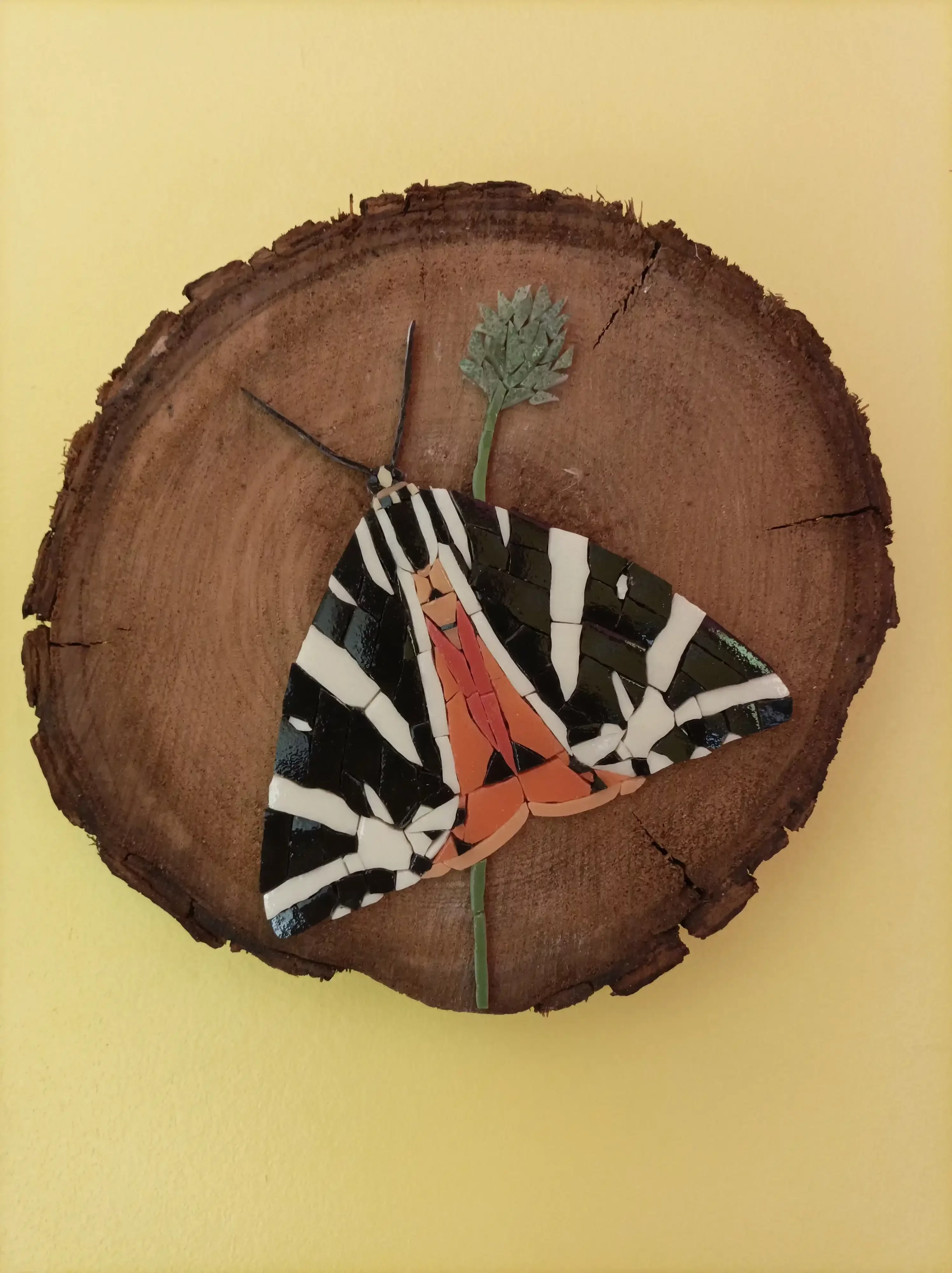 Mosaïque d'un papillon écaille chinée sur bois