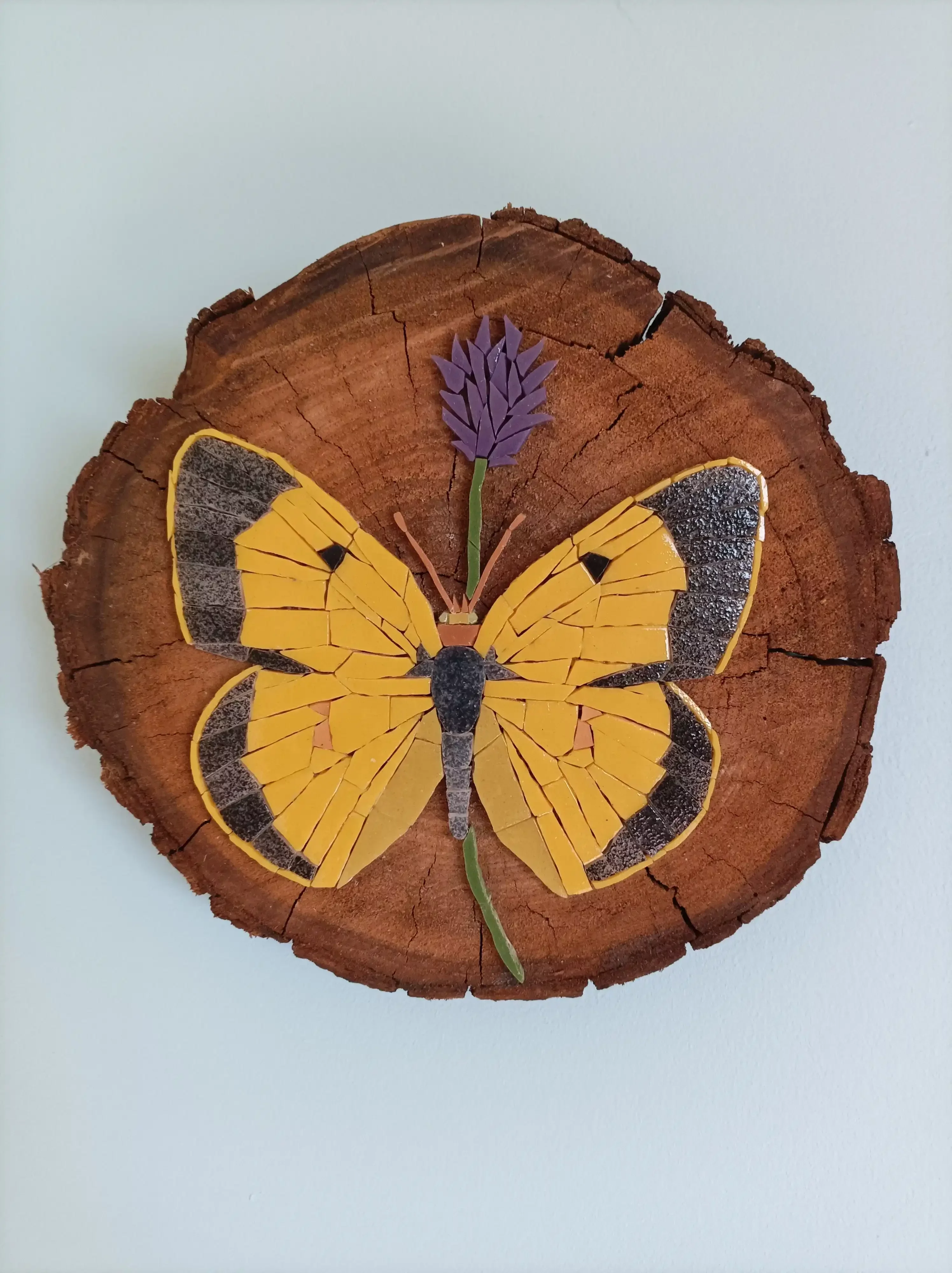 Mosaïque d'un papillon souci sur bois