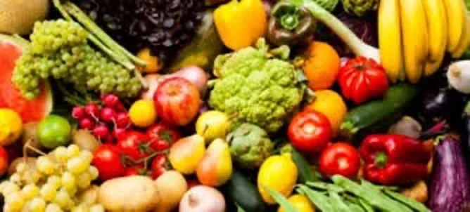 Hatha Yoga Class at Horos Yoga Studio in Athens, Greece