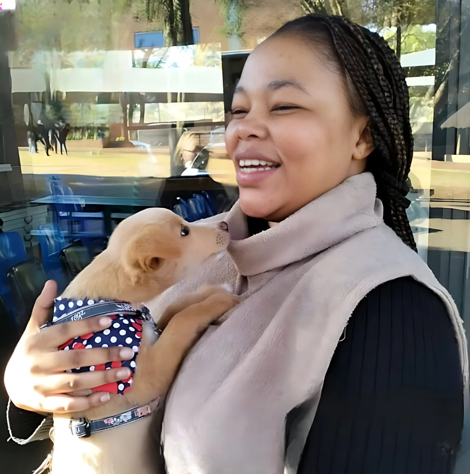 Adoption seven: Dog. A beautiful young woman adopted a small blond puppy. She is laughing since the dog constantly wants to lick her in the face. She is so happy about her new friend.
