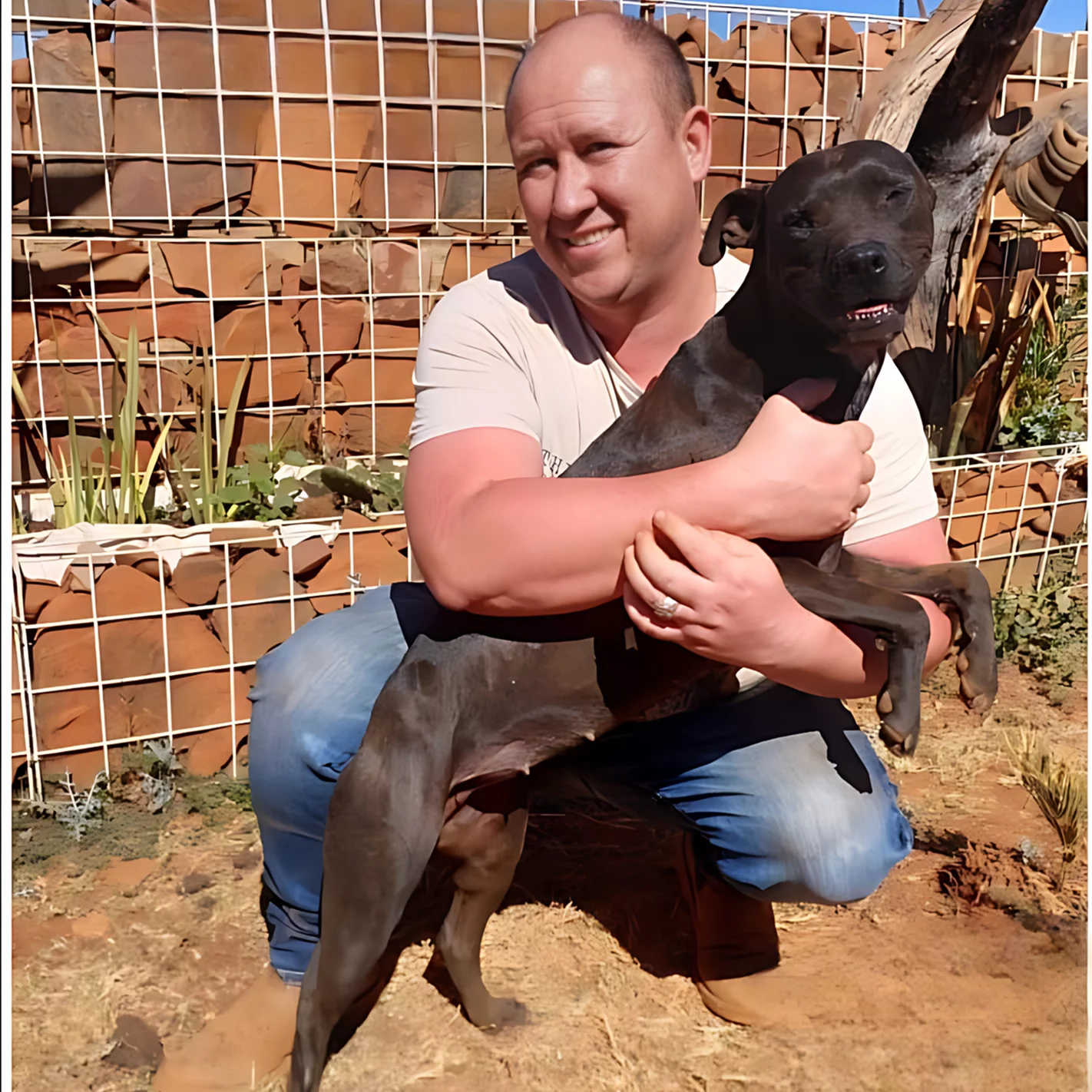 Adoption thirteen: Dog. A bald middle aged man adopted a fully grown female dog. The dog is female. The dog is smiling with her new owner into the camera.