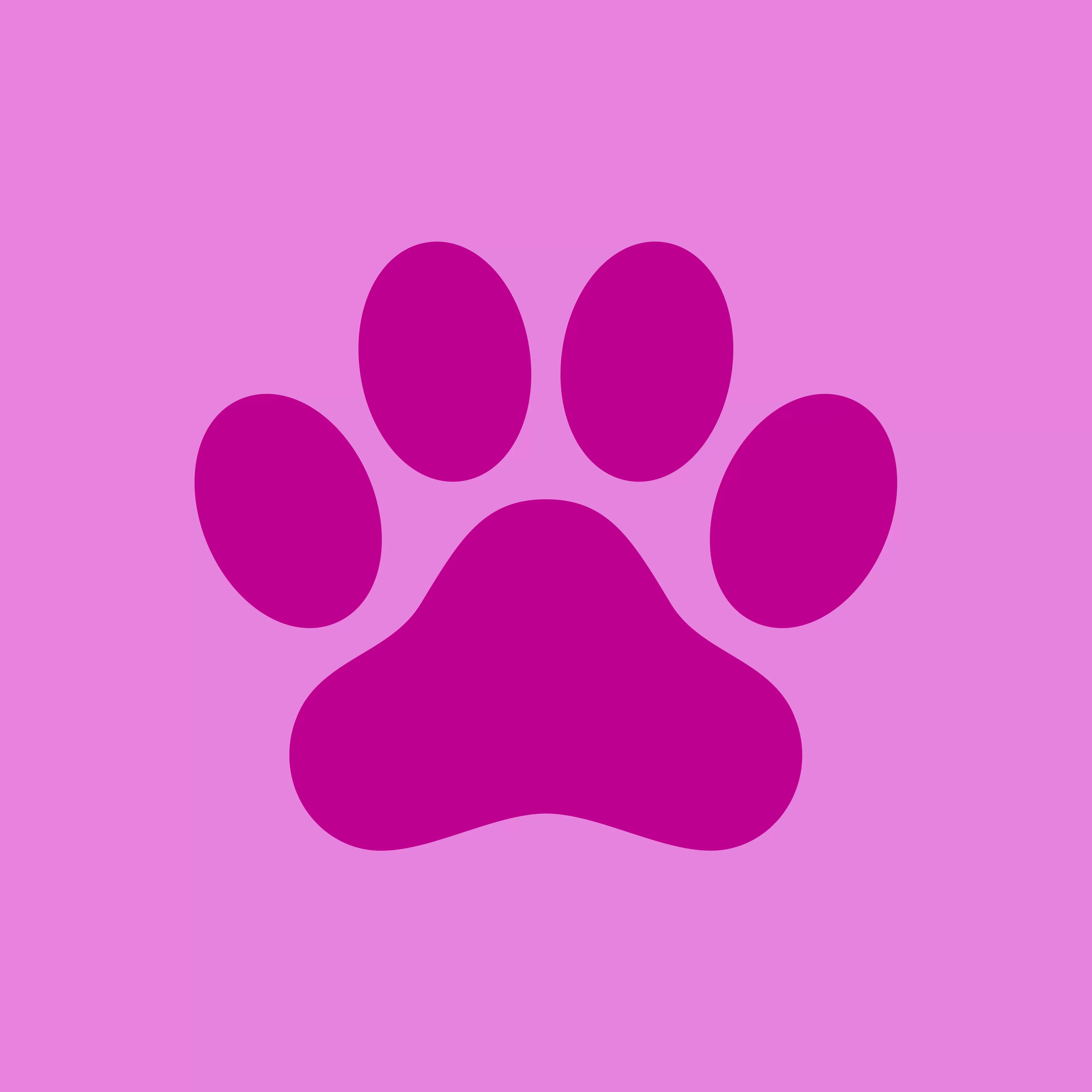 Images of the team members described in each card. You can see their faces and they are holding a pet from the shelter. Only Jade does not have her image on the website and the information card has an information icon as it's placeholder image.