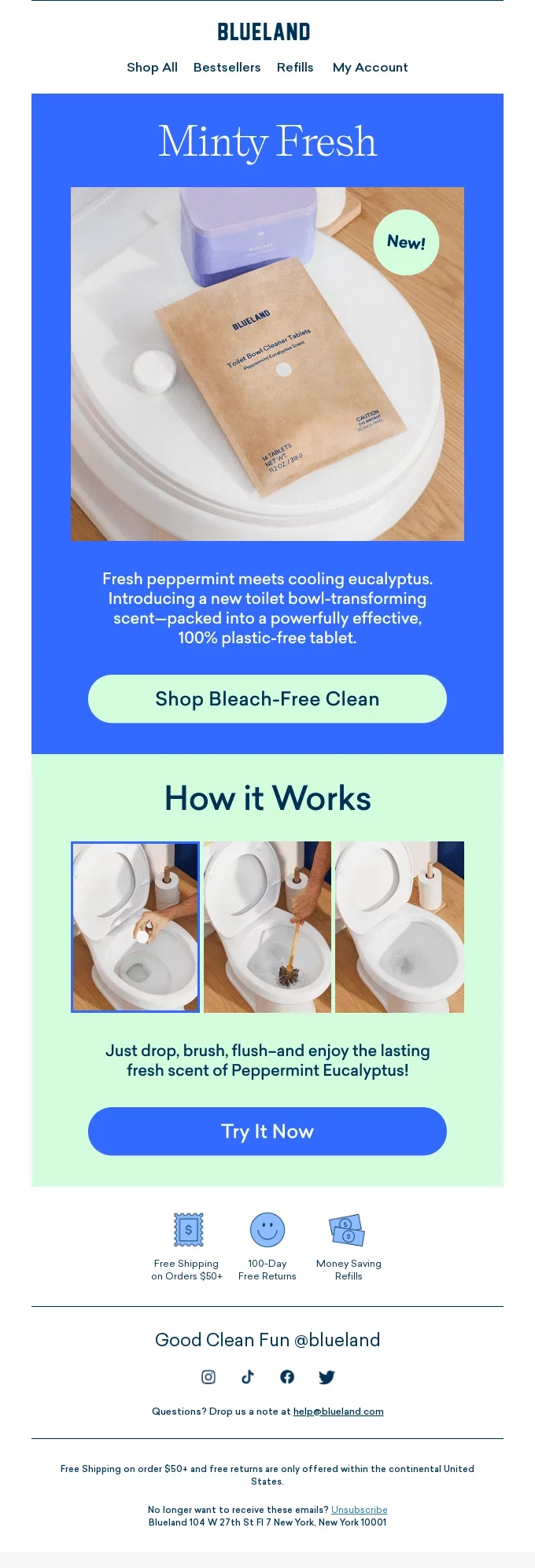 newsletter template