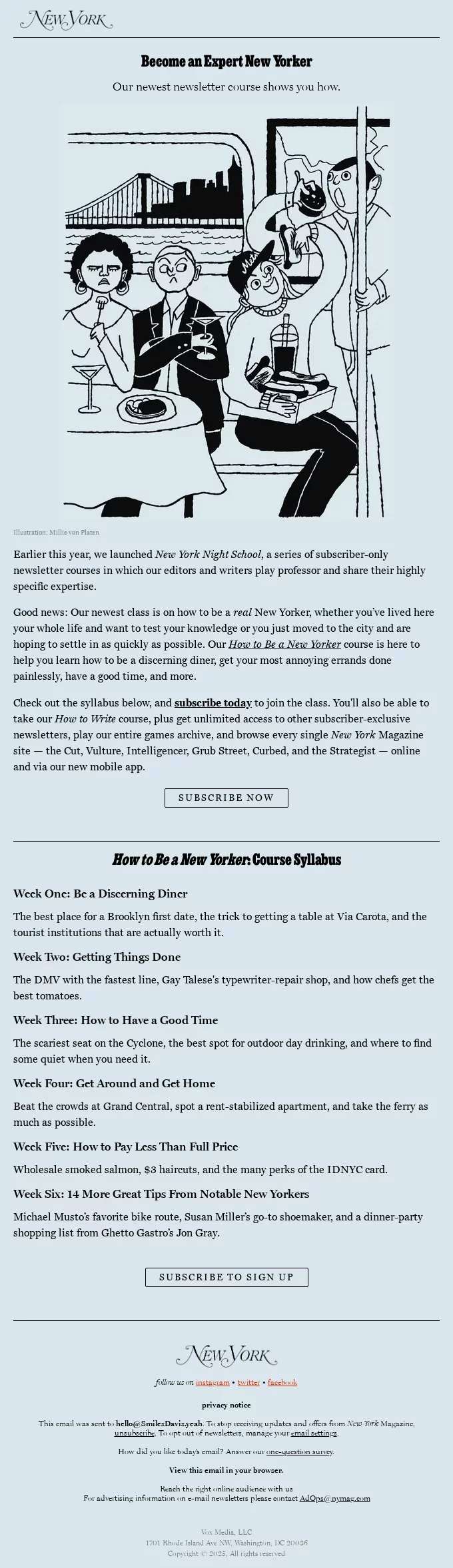newsletter template