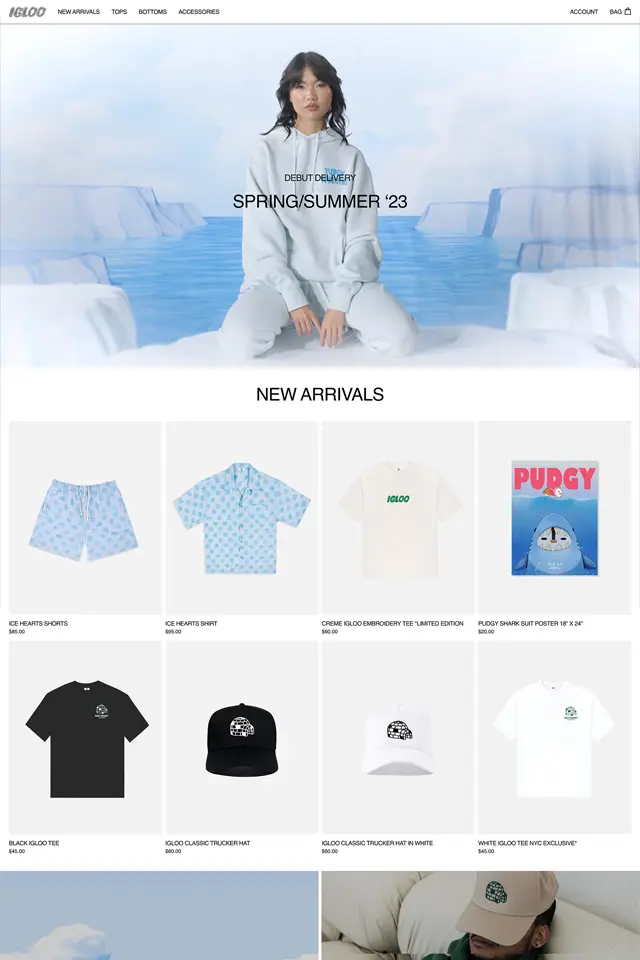 IGLOO landing page