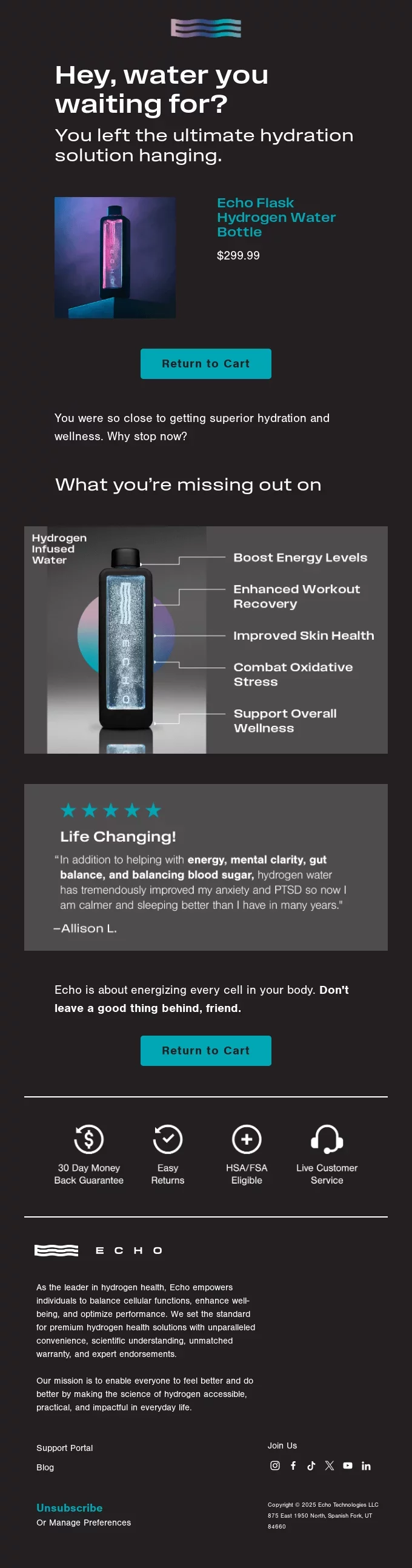 newsletter template