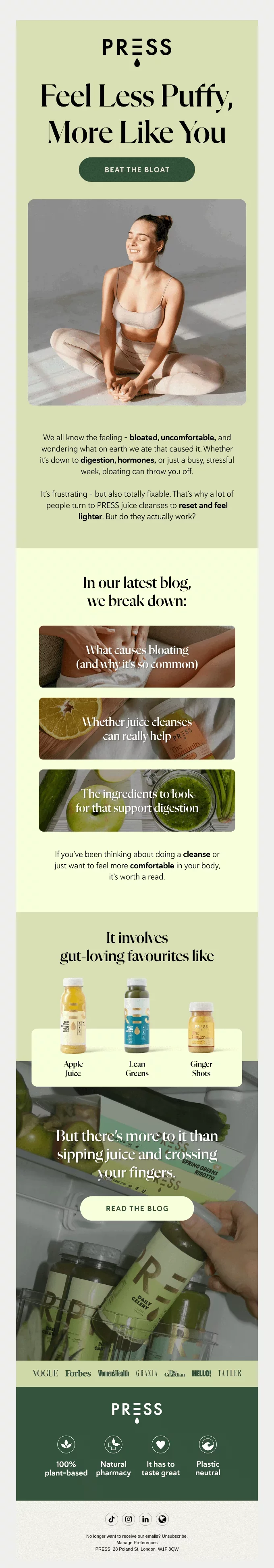 newsletter template