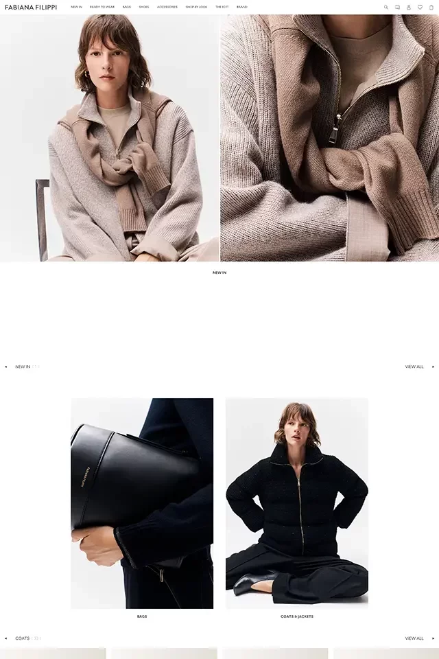 Fabiana Filippi website design