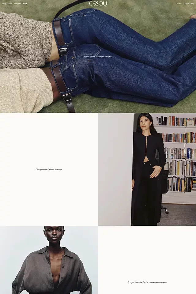 Ossou website design