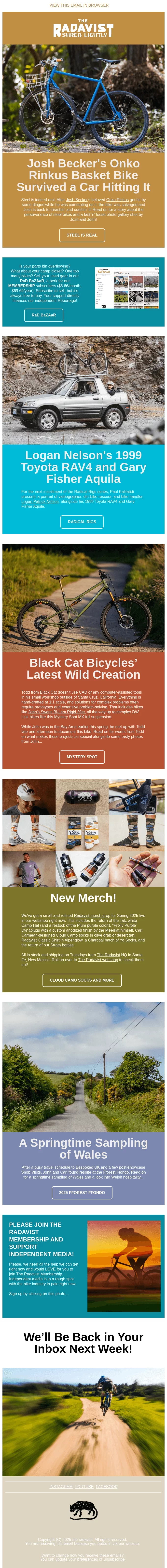 newsletter template