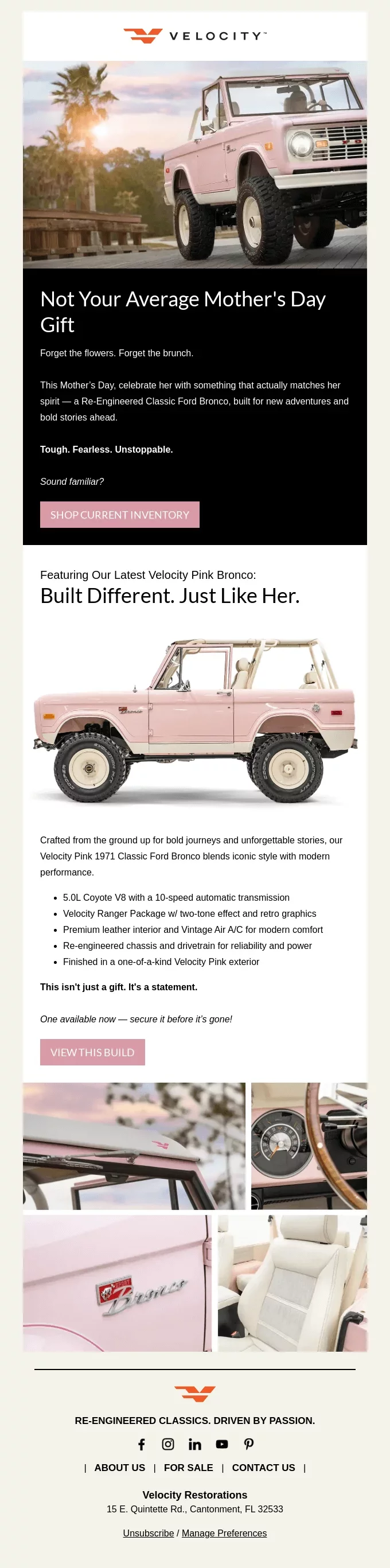 newsletter template