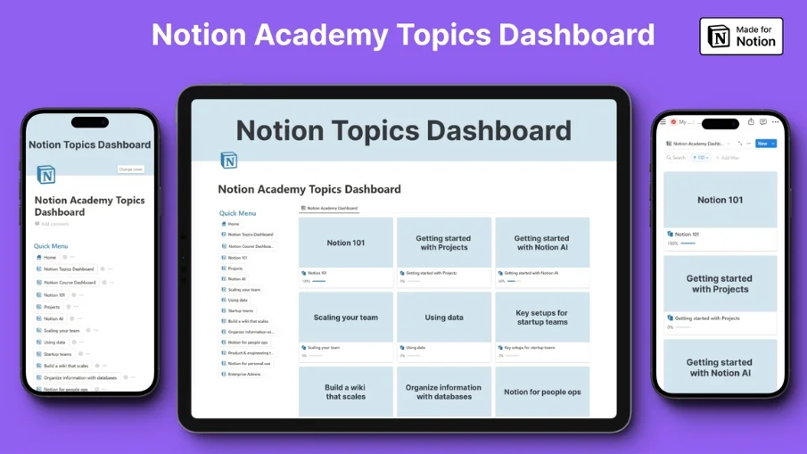 Notion Academy Pro