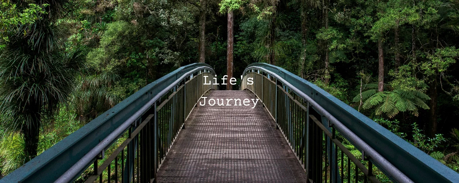Life's Journey Dashboard
