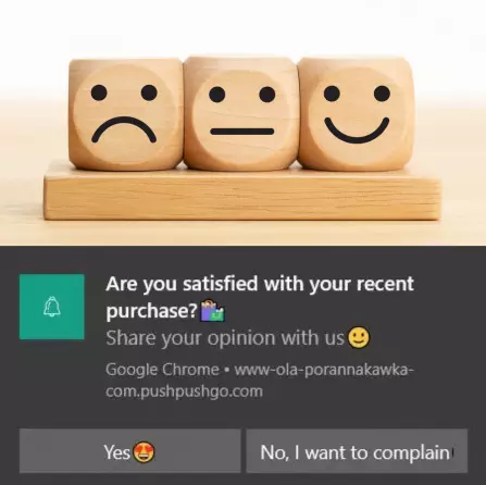 web push notification customer feedback collection