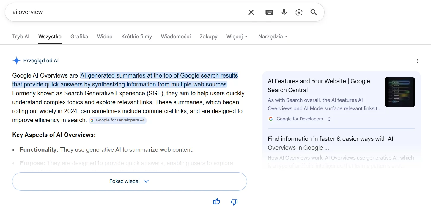 Ai Overview co to jest