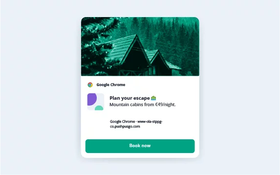 web push notifications