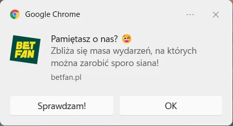 web push język korzyści