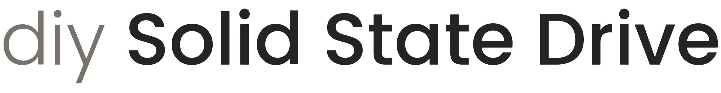 Website Logo | DIY SSD