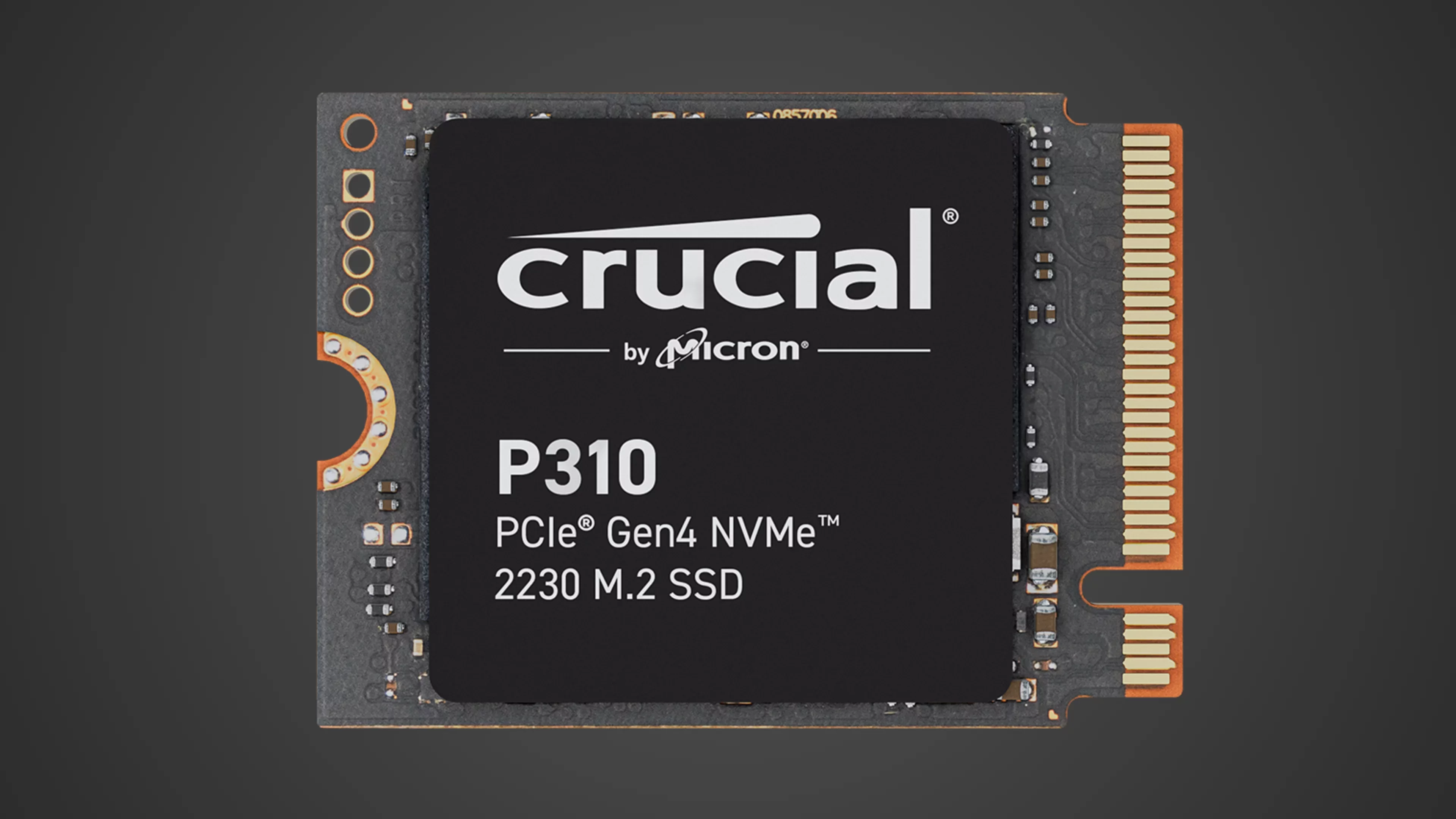 crucial p310 2230 product image | diySSD