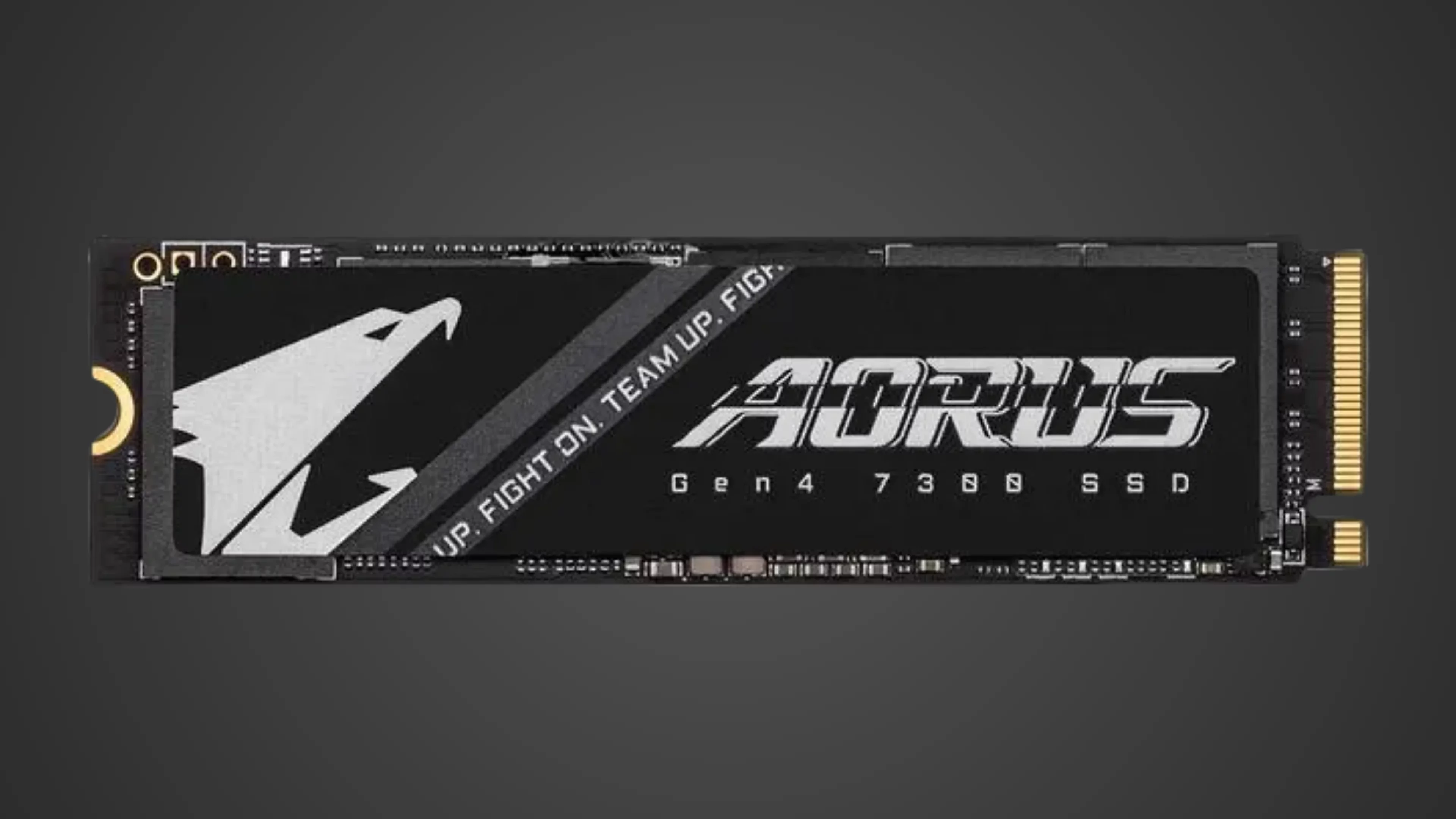 gigabyte aorus 7300 product image | diySSD