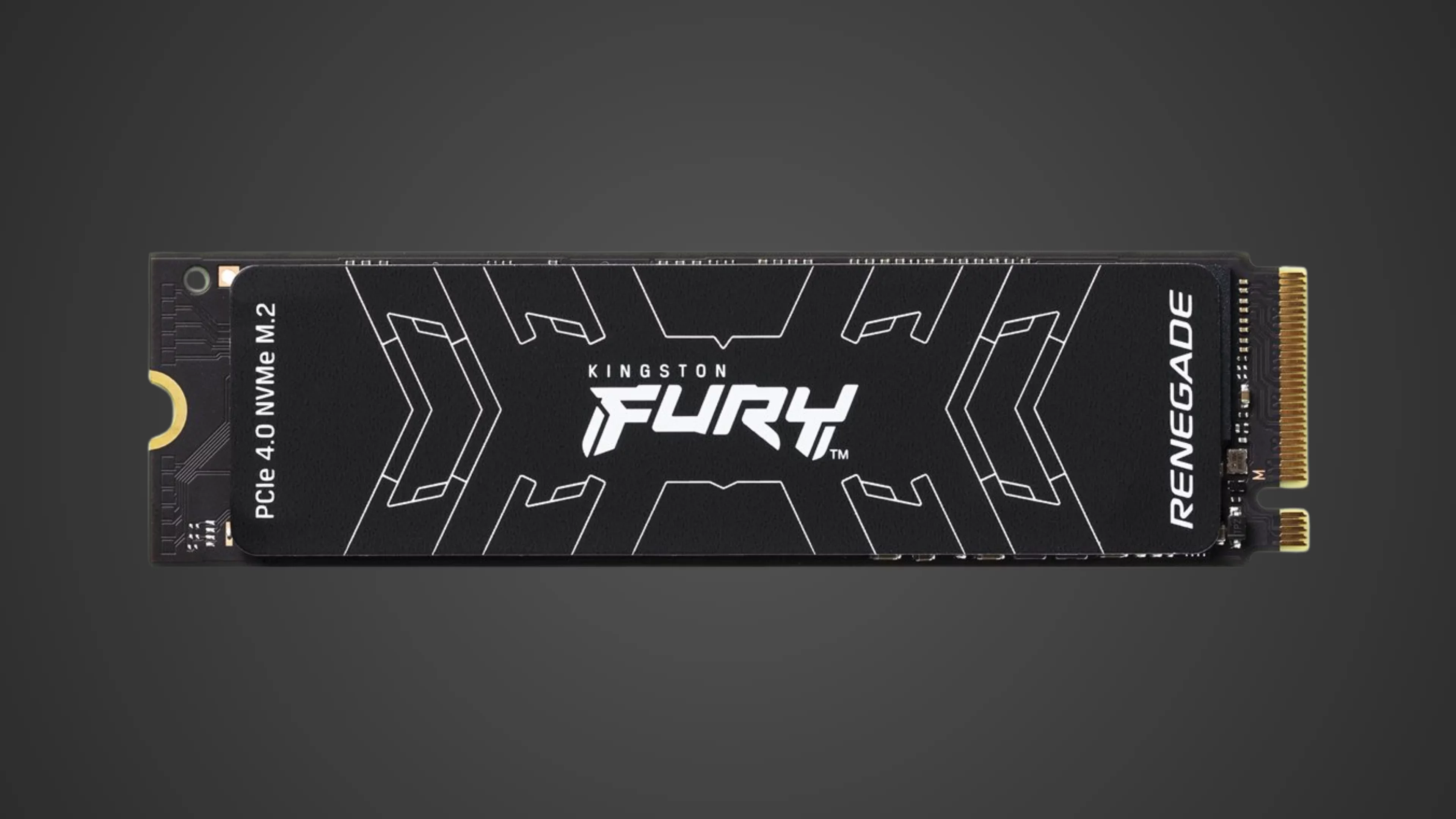 kingston fury renegade product image | diySSD