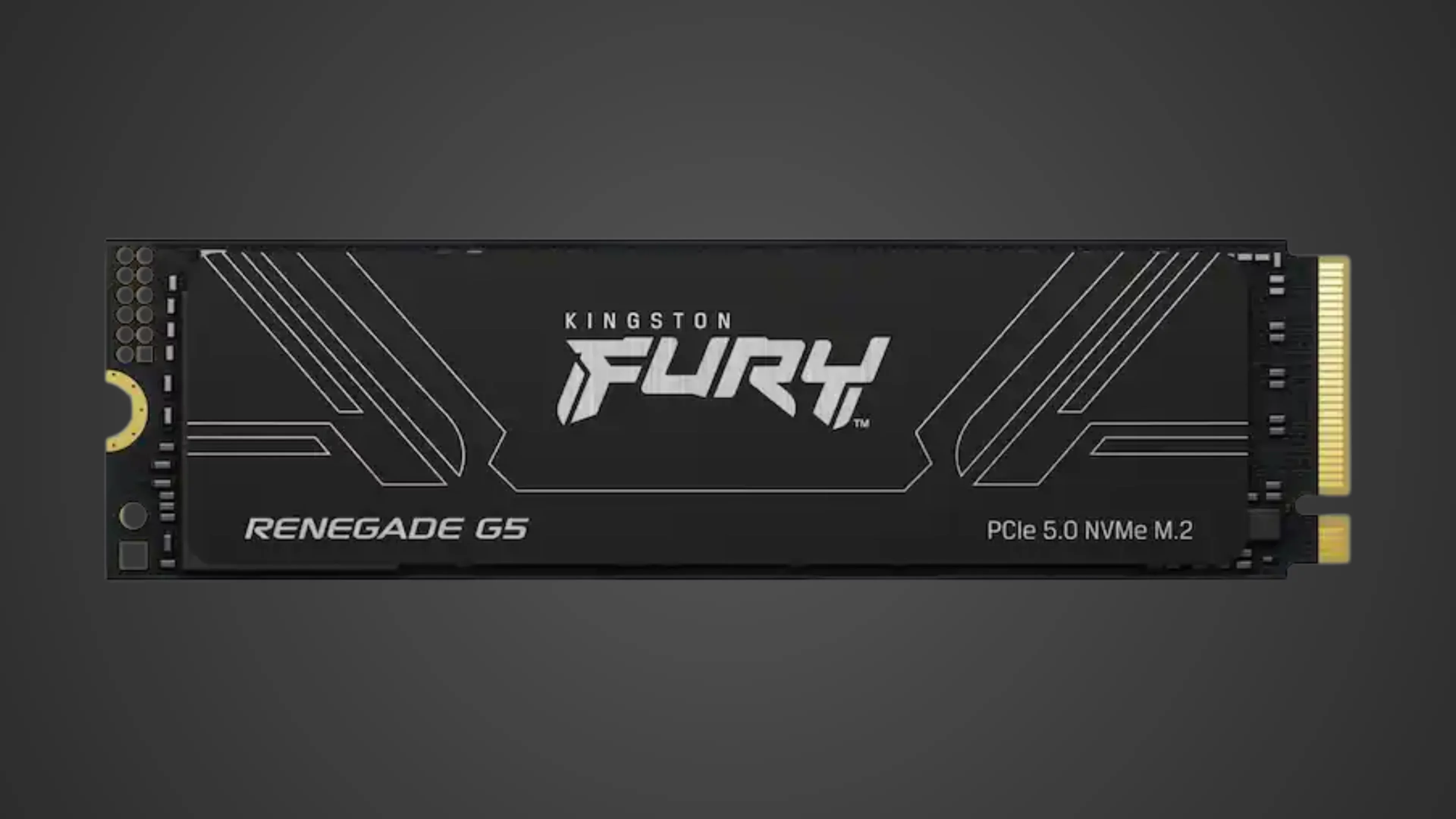 kingston fury renegade g5 product image | diySSD