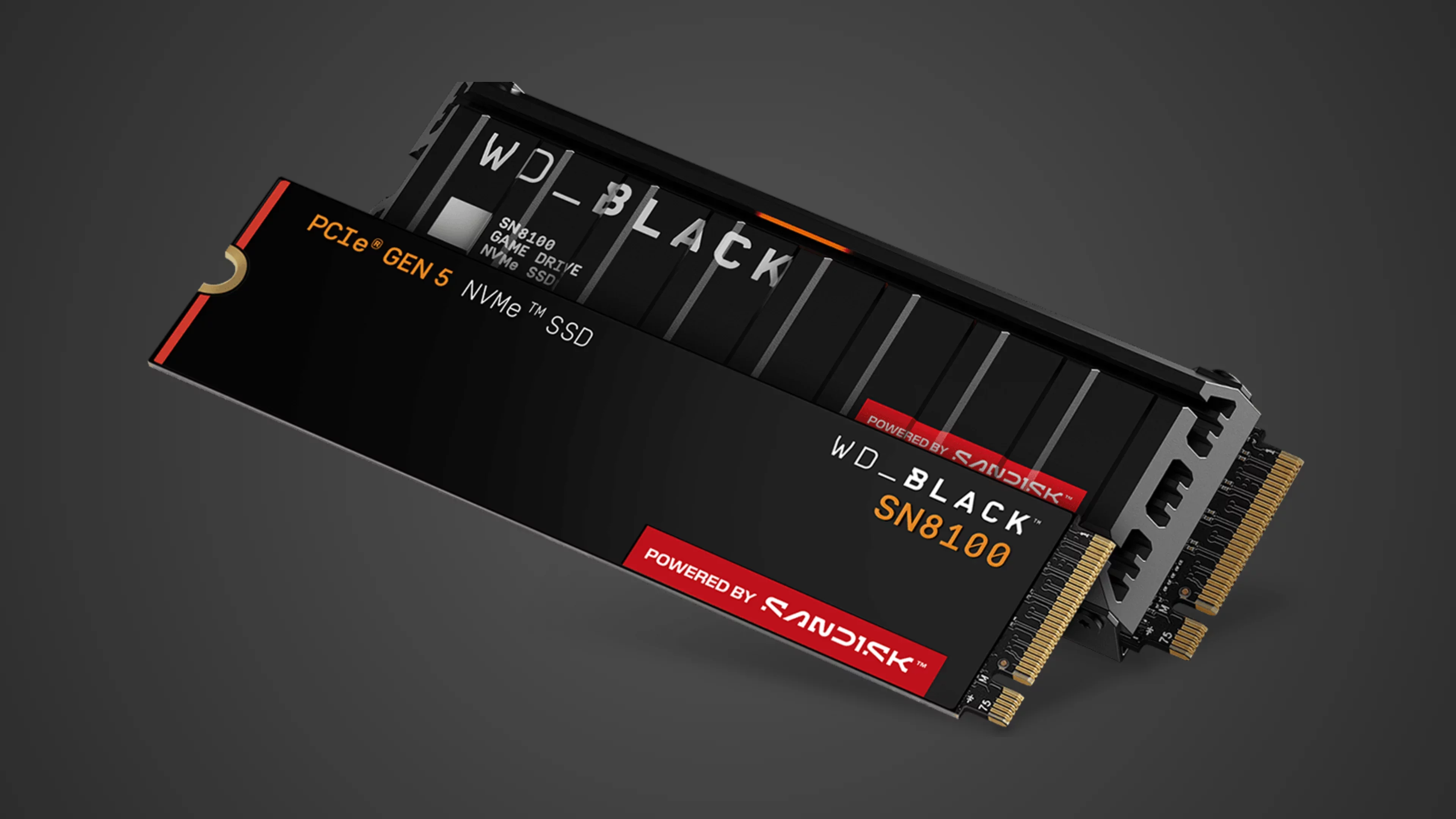 photo of sandisk wd_black sn8100 solid state drive | diySSD