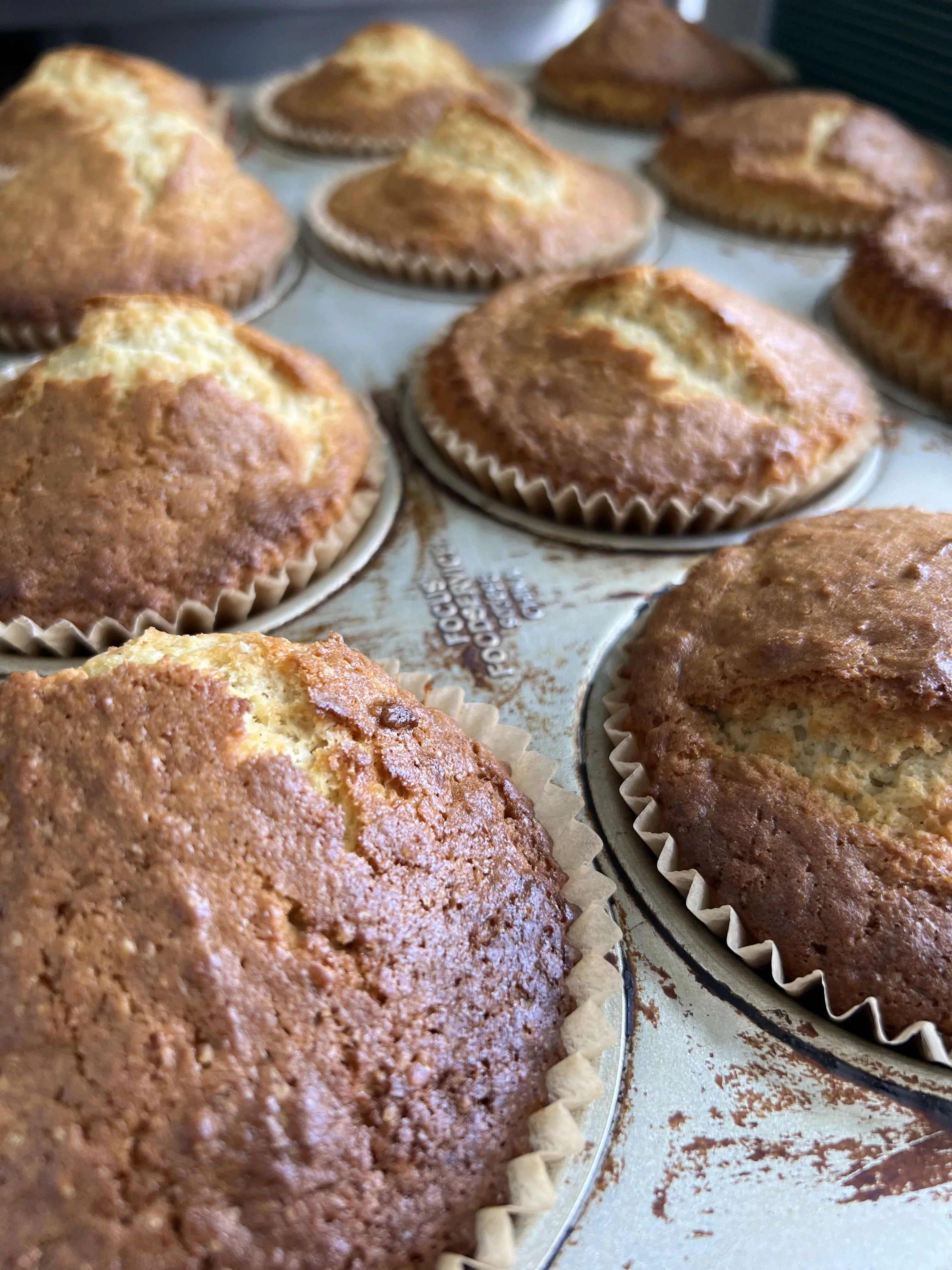 Vanilla Bean Muffins