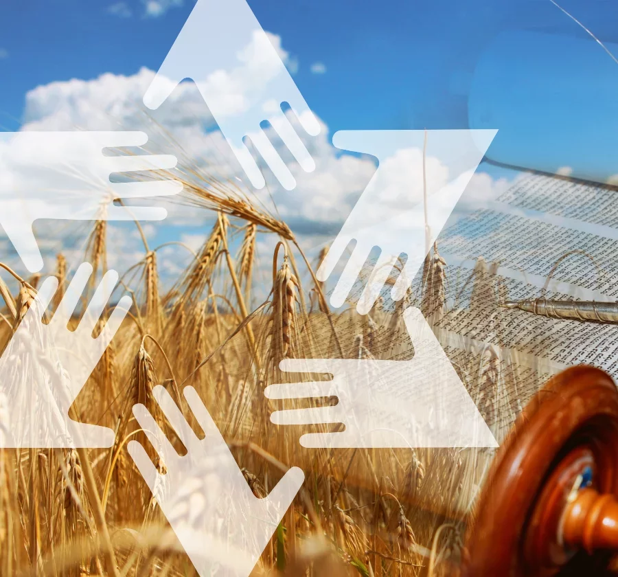Shavuot 5786