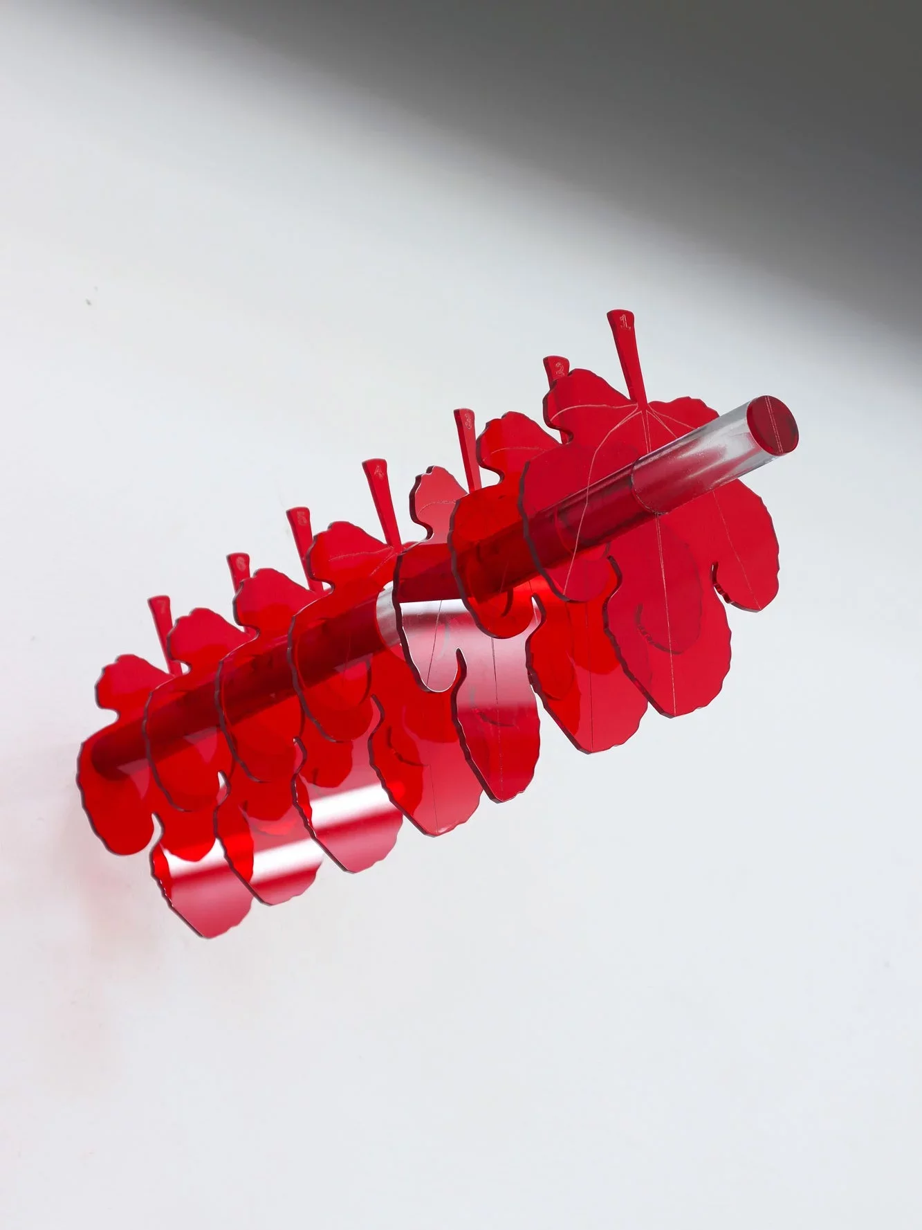“7x360°,” 2024, wall-mounted installation by Grigorios Ilaridis at Base-Alpha Gallery, Antwerp. Seven red transparent acrylic fig leaves cascade on a horizontal metal rod. Each leaf has larger circular cutouts, creating a stair-step effect. Displayed on a white wall, the minimalist design emphasizes light interaction and vibrant red hues. Materials: Metal, red transparent plexiglass. Dimensions: 18 x 14 x 50 cm