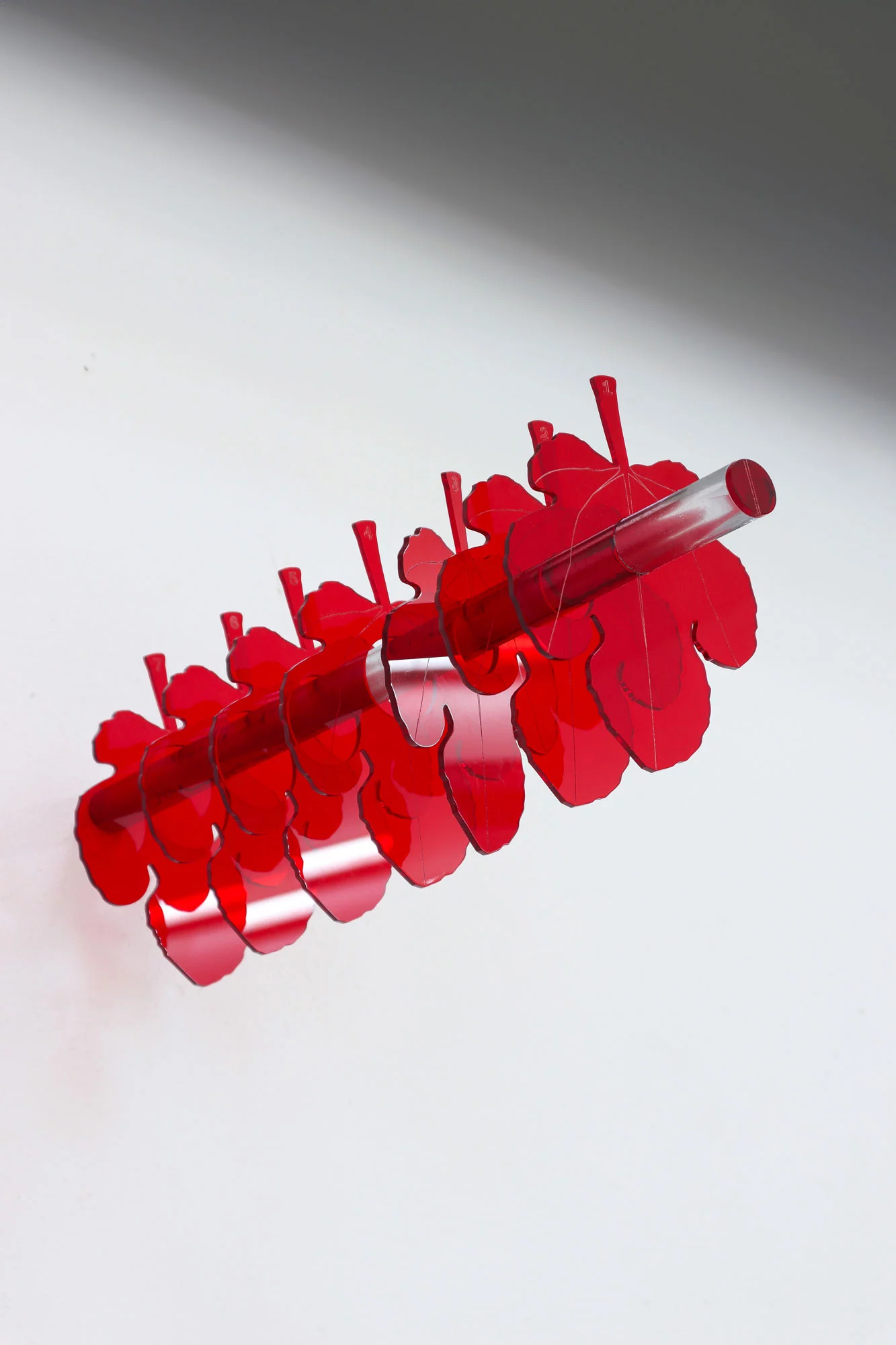 “7x360°,” 2024, wall-mounted installation by Grigorios Ilaridis at Base-Alpha Gallery, Antwerp. Seven red transparent acrylic fig leaves cascade on a horizontal metal rod. Each leaf has larger circular cutouts, creating a stair-step effect. Displayed on a white wall, the minimalist design emphasizes light interaction and vibrant red hues. Materials: Metal, red transparent plexiglass. Dimensions: 18 x 14 x 50 cm