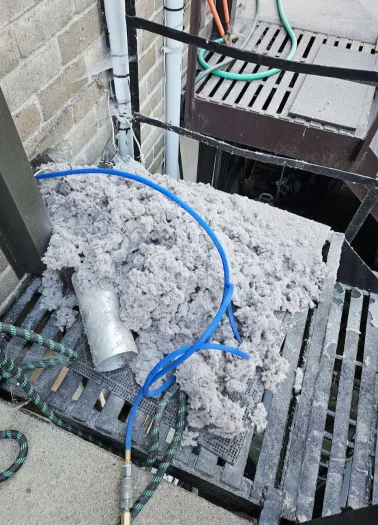 Professional dryer vent cleaning